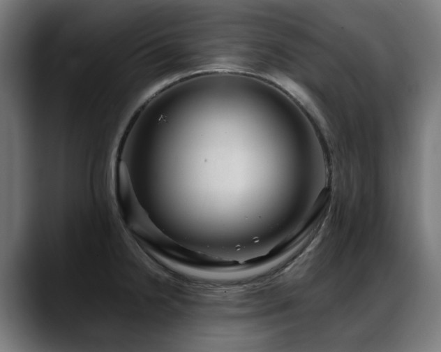 X0000088661238200705251516