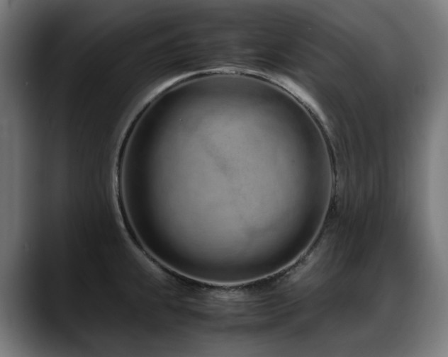 X0000088661239200705251516