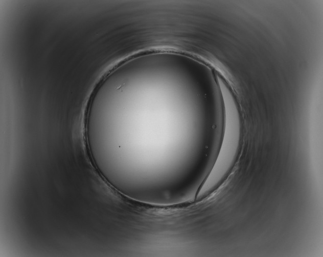 X0000088661240200705251516