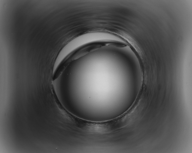 X0000088661241200705251516