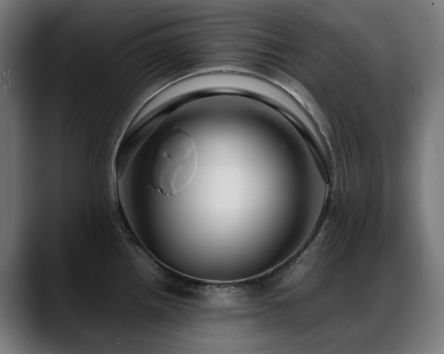 X0000088661242200705251516