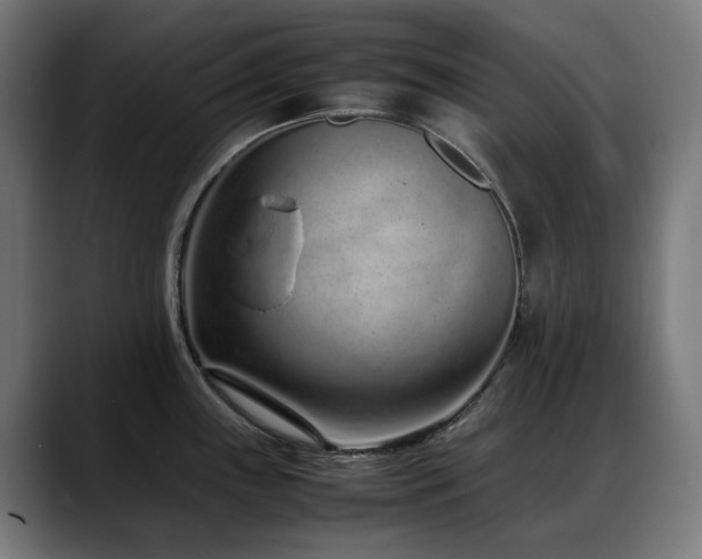 X0000088661243200705251516