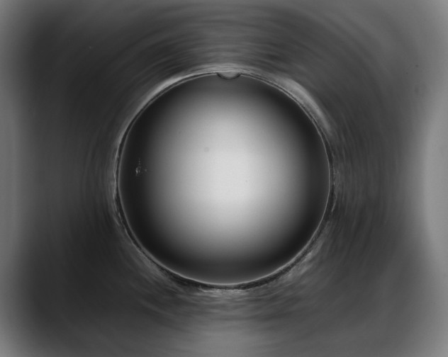 X0000088661244200705251516