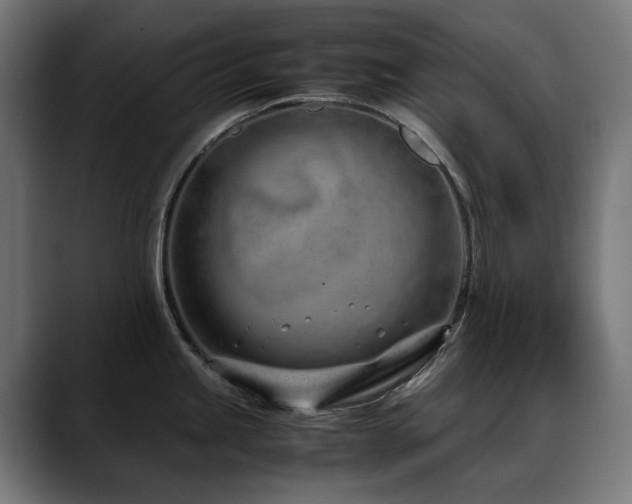 X0000088661245200705251516