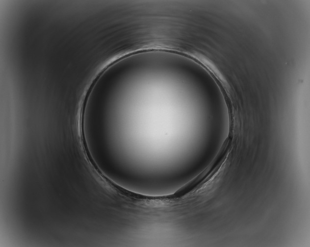 X0000088661246200705251516