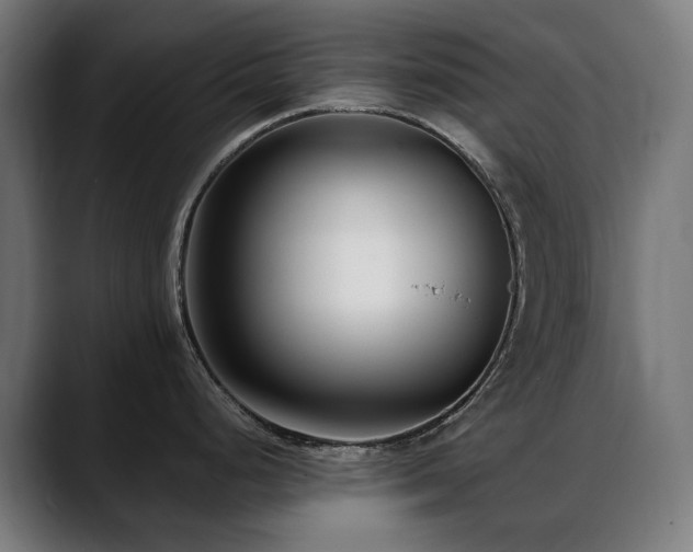 X0000088661248200705251516