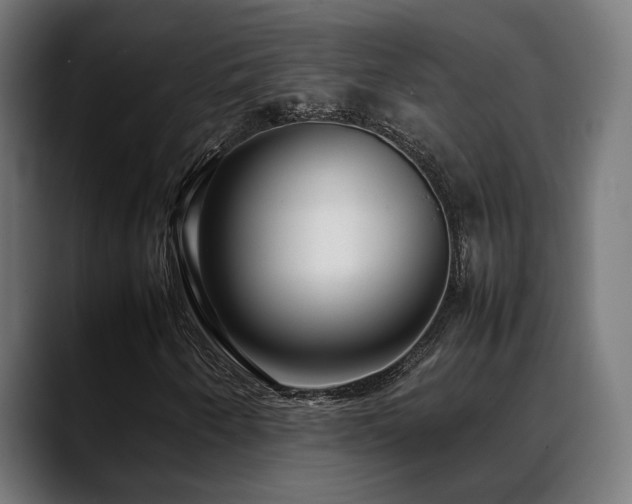 X0000088661250200705251515