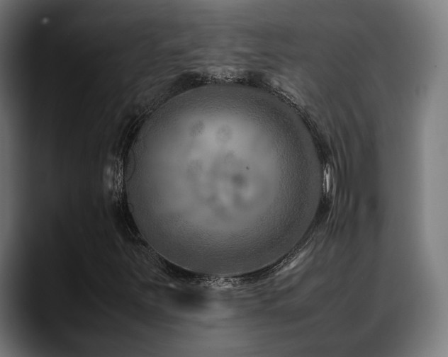 X0000088661251200705251515