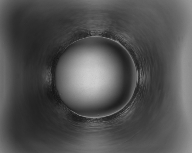 X0000088661252200705251515