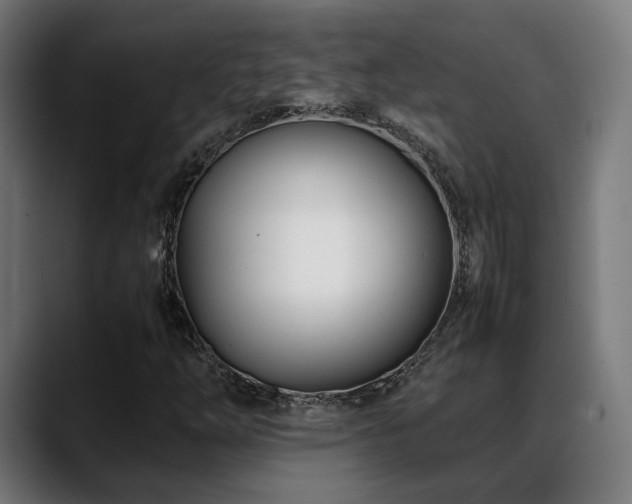 X0000088661254200705251515