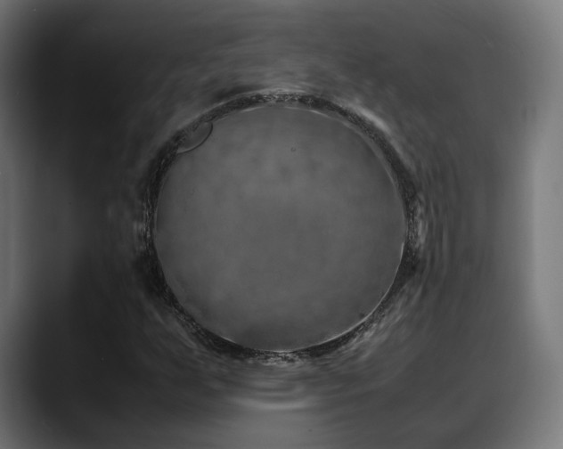 X0000088661255200705251515