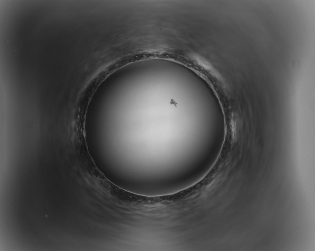 X0000088661256200705251515