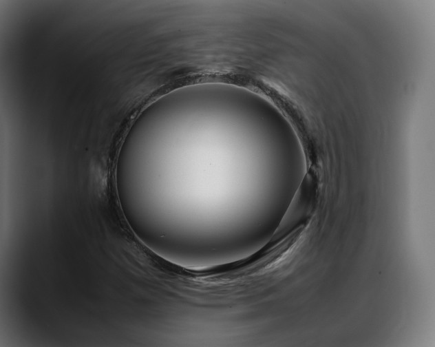 X0000088661257200705251515