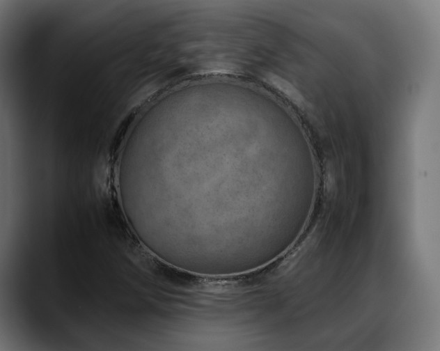 X0000088661258200705251515