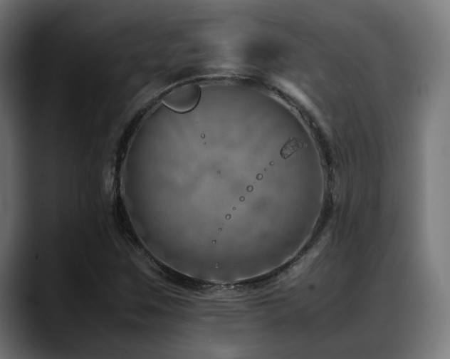 X0000088661259200705251515