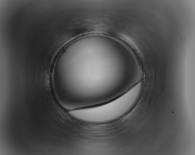 X0000088661260200705251515