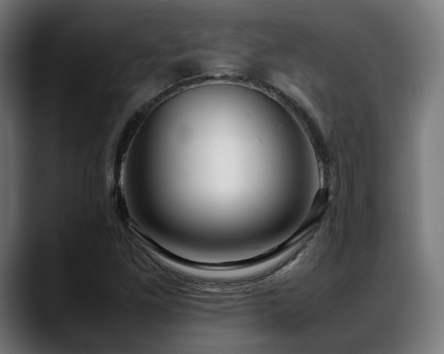 X0000088661261200705251515