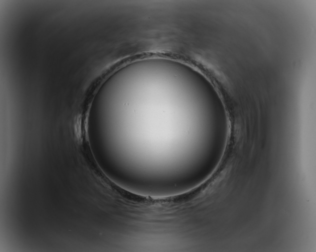 X0000088661262200705251515