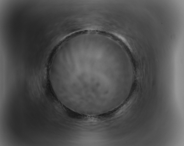 X0000088661263200705251515