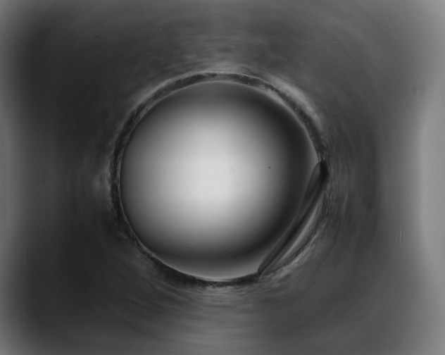 X0000088661264200705251515