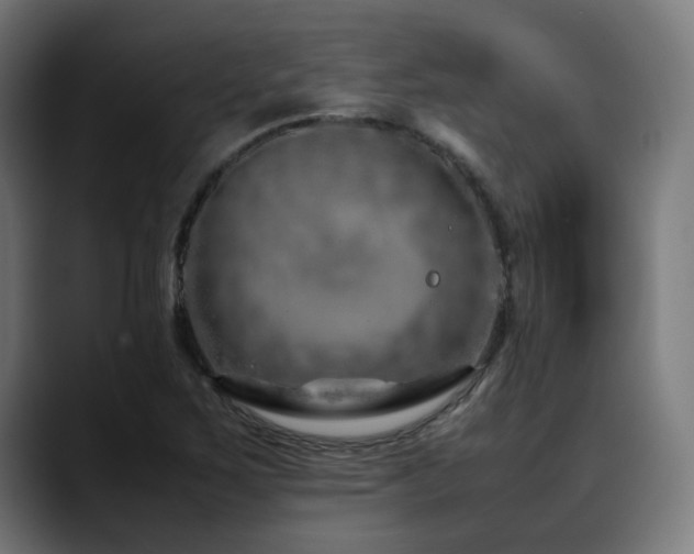 X0000088661267200705251515