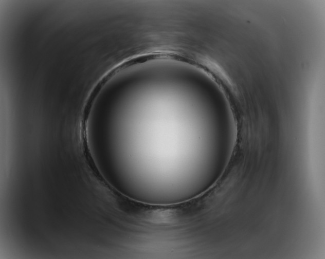 X0000088661268200705251515