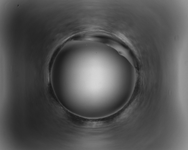 X0000088661269200705251515