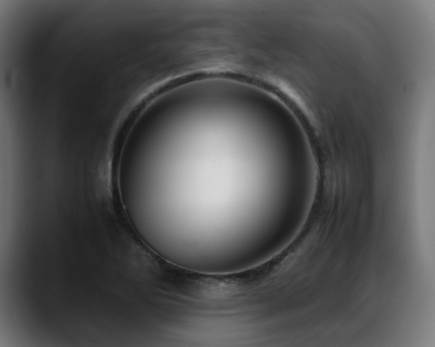 X0000088661270200705251515