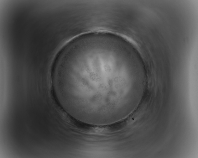 X0000088661271200705251515