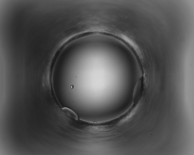 X0000088661272200705251515