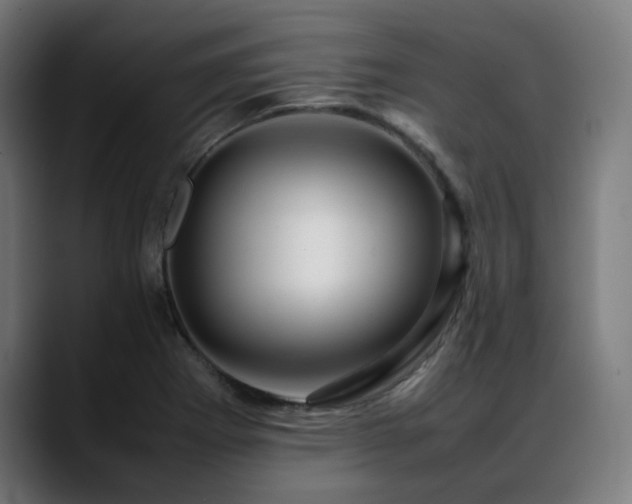 X0000088661273200705251515