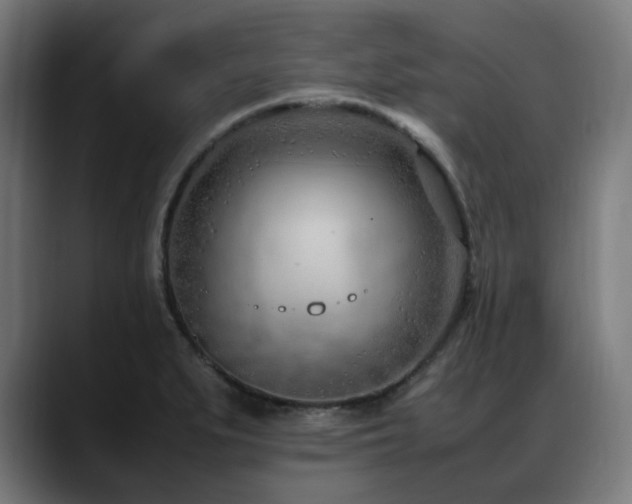 X0000088661279200705251515