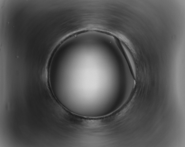 X0000088661280200705251515