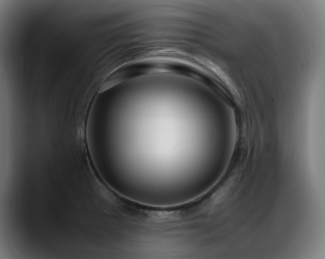 X0000088661281200705251515