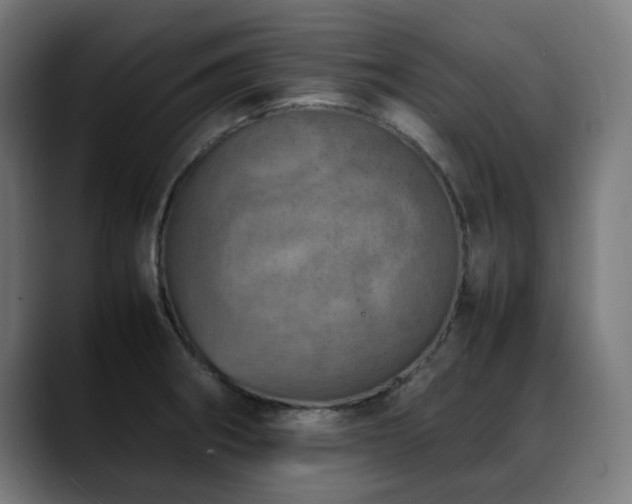 X0000088661282200705251515