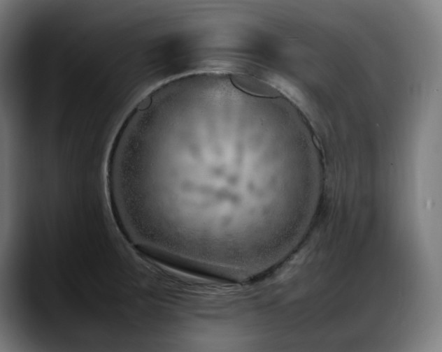 X0000088661283200705251515