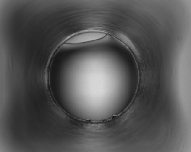 X0000088661284200705251515