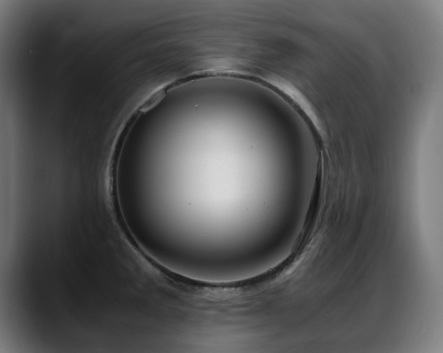 X0000088661285200705251515