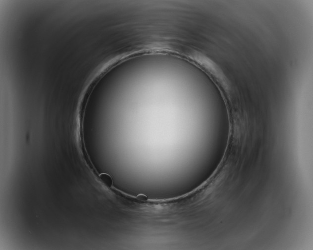 X0000088661286200705251515