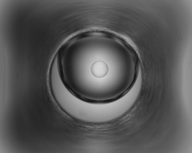 X0000088661287200705251515