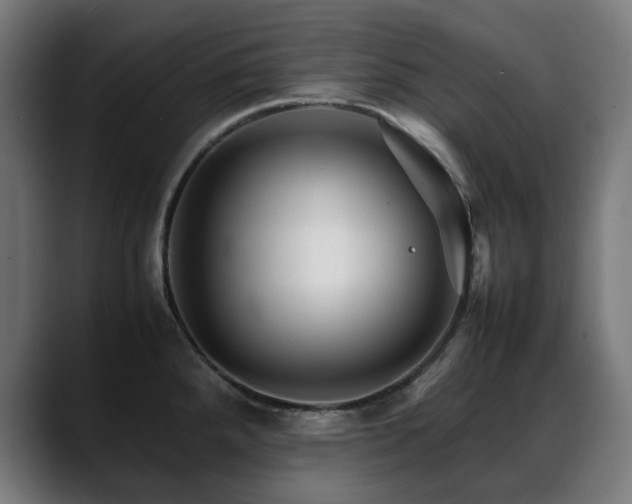 X0000088661288200705251515