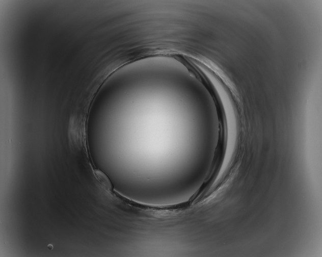 X0000088661289200705251515