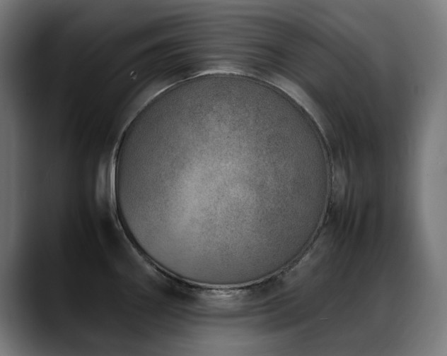 X0000088661290200705251515