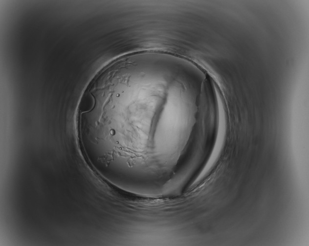 X0000088661291200705251515