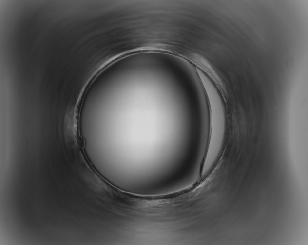 X0000088661292200705251515