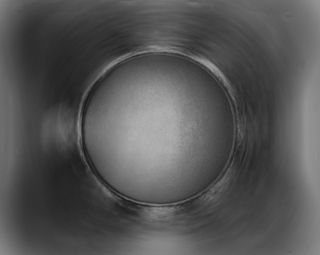 X0000088661294200705251515