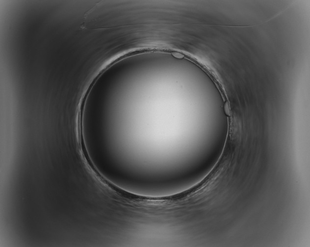 X0000088661295200705251515