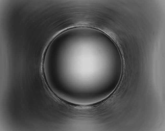 X0000088661296200705251514