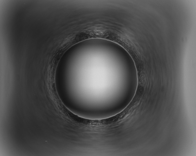 X0000088661297200705251514