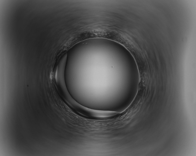 X0000088661298200705251514